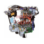 Sectioned 4 Cylinder Petrol Engine With K-Jetronic Injection